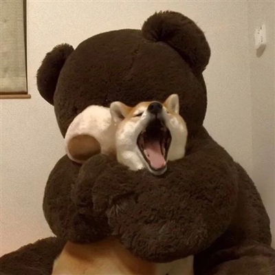 美到爆的头像(20张)