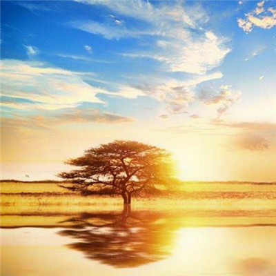 微信2023最流行的头像(15张)