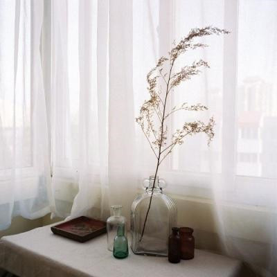 免费头像图片大全2023最新版(33张)