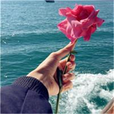 免费头像图片大全2023最新版(33张)