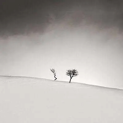 高端有品位的微信头像(精选24张)