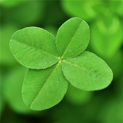 充满阳光朝气的微信头像(24张)