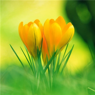 充满阳光朝气的微信头像(24张)