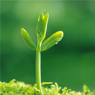 充满阳光朝气的微信头像(24张)