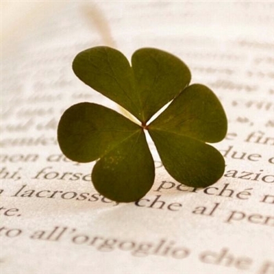 充满阳光朝气的微信头像(24张)