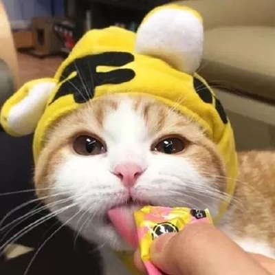 最近抖音上很火的头像(18张)