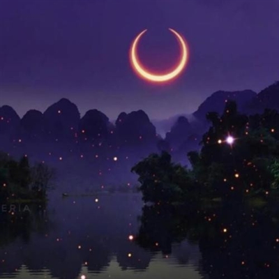 微信头像低调安静(16张)