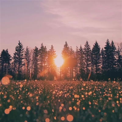 微信漂亮头像图片大全(15张)