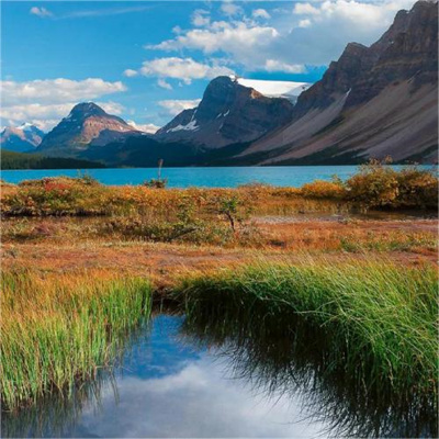 女人好运平安吉利头像(18张)