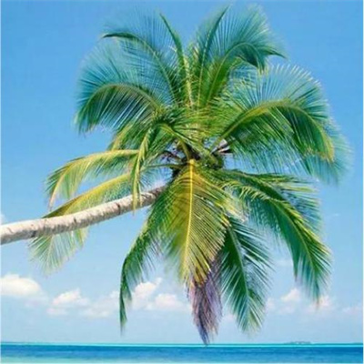 女人好运平安吉利头像(18张)