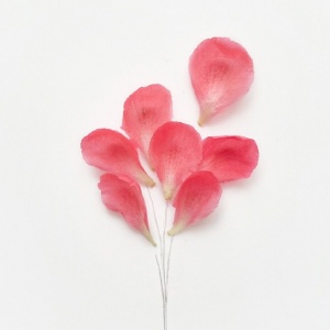 难懂又有深意的头像(精选16张)