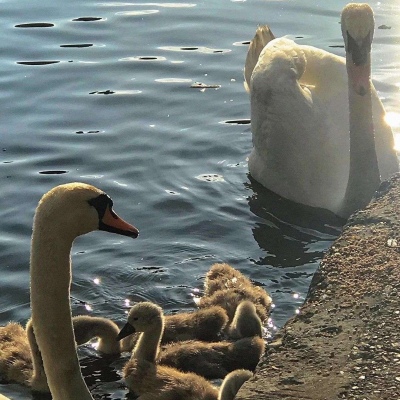 全网最火的丧头像(精选22张)
