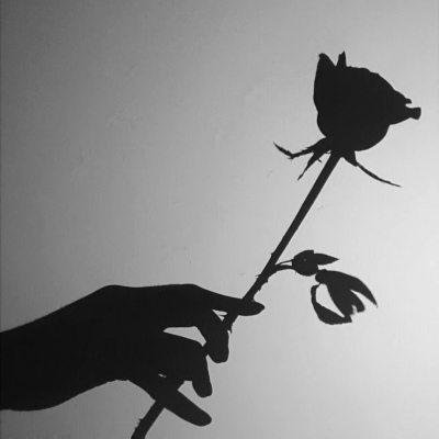 全网最火的丧头像(精选22张)