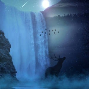 微信显大气的头像图片(精选18张)