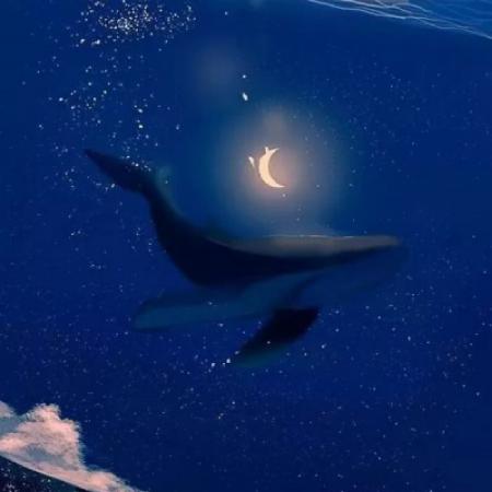 精致高级微信头像图片(精选36张)