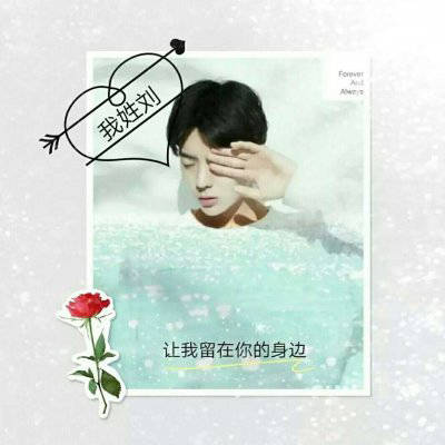 刘姓氏头像男生专用图片(精选24张)