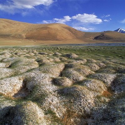 唯美蓝色意境图片风景头像(精选24张)