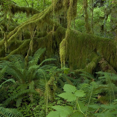 唯美蓝色意境图片风景头像(精选24张)