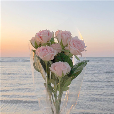 2023最火风景头像(精选24张)