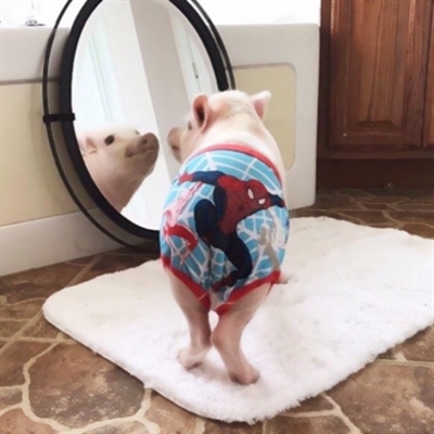 沙雕情侣头像一男一女图片(精选28张)