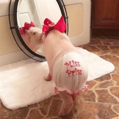 沙雕情侣头像一男一女图片(精选28张)