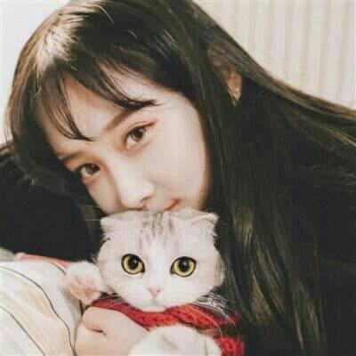 高清漂亮好看带猫咪的女生头像图片(精选21张)