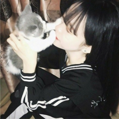 高清漂亮好看带猫咪的女生头像图片(精选21张)