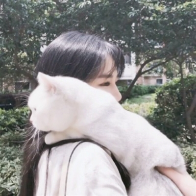 高清漂亮好看带猫咪的女生头像图片(精选21张)