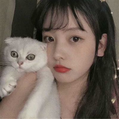 高清漂亮好看带猫咪的女生头像图片(精选21张)
