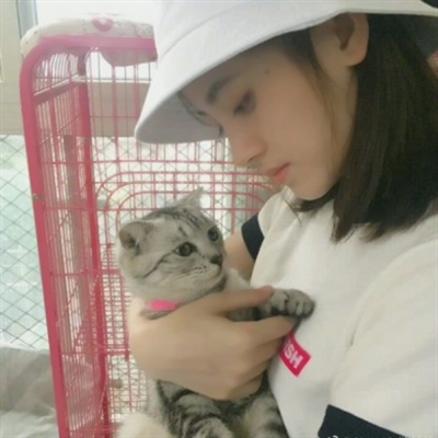 高清漂亮好看带猫咪的女生头像图片(精选21张)