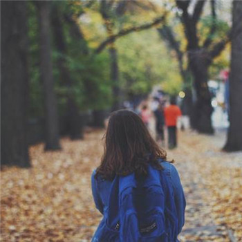 落叶一个人伤感背影图片头像(精选15张)