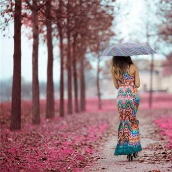 落叶一个人伤感背影图片头像(精选15张)