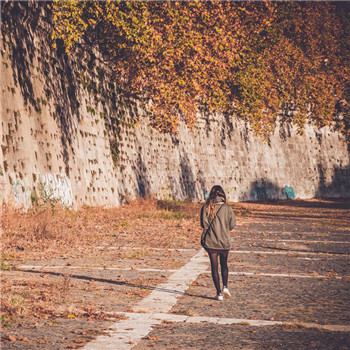 落叶一个人伤感背影图片头像(精选15张)