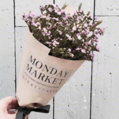 微信头像好运图片大全(21张)