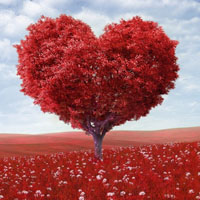 高清有意境孤独的树图片唯美头像(24张)