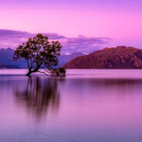 高清有意境孤独的树图片唯美头像(24张)