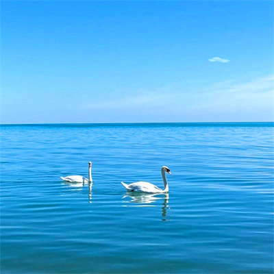 吉利吉祥女人幸运又聚财的微信头像图片(24张)