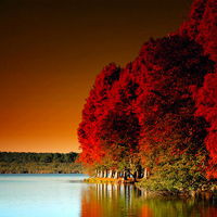 微信头像秋天风景图片(24张)