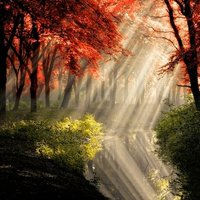 微信头像秋天风景图片(24张)