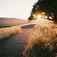 微信头像秋天风景图片(24张)