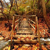 微信头像秋天风景图片(24张)