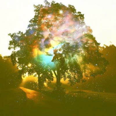 创意的唯美风景头像(24张)