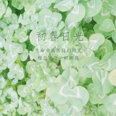 创意的唯美风景头像(24张)