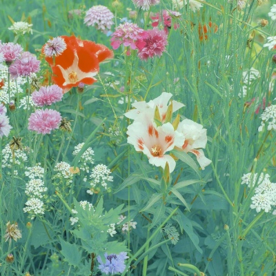 高清有内涵的风景头像图片(精选24张)