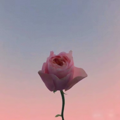 高清有内涵的风景头像图片(精选24张)