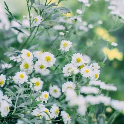 高清有内涵的风景头像图片(精选24张)