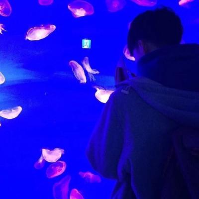 唯美风景情侣头像图片(精选24张)