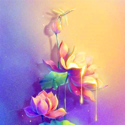 修行人静心修心莲花淡雅禅意图片头像(精选24张)