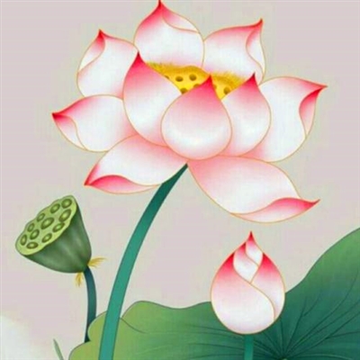 修行人静心修心莲花淡雅禅意图片头像(精选24张)