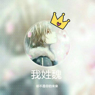 魏姓氏头像带字图片(精选15张)